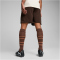 PUMA FC St. Pauli Trainingsshorts Herren 05 - dark chocolate/puma red L