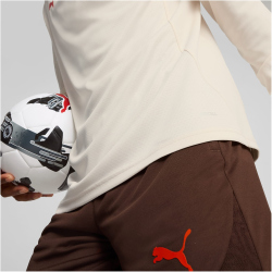 PUMA FC St. Pauli 1/4-Zip Trainings-Top Herren 04 - sugared almond/puma red L