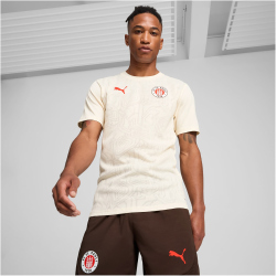 PUMA FC St. Pauli Trainingsshirt Herren 04 - sugared...