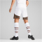 PUMA FC St. Pauli Ausw&auml;rtsshorts 2024/25 Herren 02 - PUMA white/espresso brown L