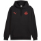 PUMA FC Red Bull Salzburg Essentials Fleece Hoodie Herren 20 - PUMA black S