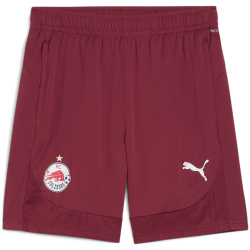 PUMA FC Red Bull Salzburg Trainingsshorts Herren 09 -...