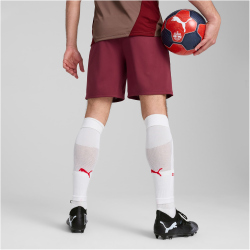 PUMA FC Red Bull Salzburg Trainingsshorts Herren 09 - team regal red/puma white XXL