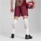 PUMA FC Red Bull Salzburg Trainingsshorts Herren 09 - team regal red/puma white XXL
