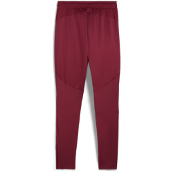 PUMA FC Red Bull Salzburg Trainingshose Herren 09 - team...