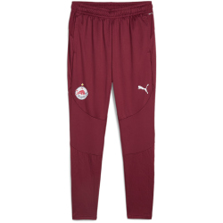PUMA FC Red Bull Salzburg Trainingshose Herren 09 - team...