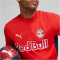 PUMA FC Red Bull Salzburg 1/4-Zip Trainings-Top Herren 13 - PUMA red/PUMA navy XS