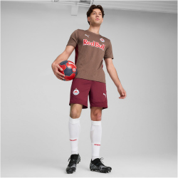 PUMA FC Red Bull Salzburg Trainingsshirt Herren 08 - dark clove/team regal red XS