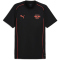 PUMA RB Leipzig Casuals T-Shirt Herren 09 - PUMA black/active red XL