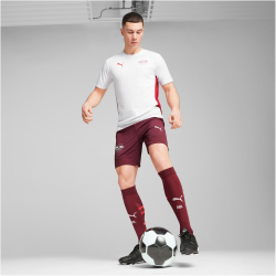 PUMA RB Leipzig Trainingsshirt Herren 07 - PUMA white/club red XS