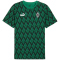 PUMA Borussia Mönchengladbach ftblCulture Print T-Shirt Herren 04 - archive green/puma black L
