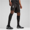 PUMA Borussia Mönchengladbach Trainingsshorts Herren 05 - PUMA black XXL