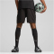 PUMA Borussia Mönchengladbach Trainingsshorts Herren 05 - PUMA black XXL
