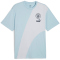 PUMA Manchester City FC ftblCulture+ T-Shirt Herren 43 - silver sky/silver mist S