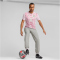 PUMA AC Mailand Aufwärmshirt 2024/25 Herren 08 - grape mist XXL