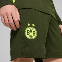 PUMA BVB Borussia Dortmund Trainingsshorts Herren 07 - myrtle/yellow alert M
