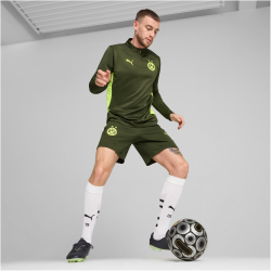 PUMA BVB Borussia Dortmund Trainingsshorts Herren 07 - myrtle/yellow alert M