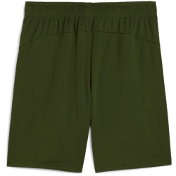 PUMA BVB Borussia Dortmund Trainingsshorts Herren 07 - myrtle/yellow alert M