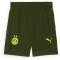 PUMA BVB Borussia Dortmund Trainingsshorts Herren 07 - myrtle/yellow alert M