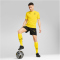 PUMA BVB Borussia Dortmund Trainingsshorts Herren 02 - PUMA black/faster yellow S