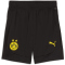 PUMA BVB Borussia Dortmund Trainingsshorts Herren 02 - PUMA black/faster yellow M