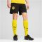 PUMA BVB Borussia Dortmund Trainingsshorts Herren 02 - PUMA black/faster yellow M