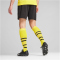 PUMA BVB Borussia Dortmund Trainingsshorts Herren 02 - PUMA black/faster yellow M