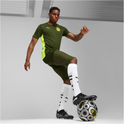 PUMA BVB Borussia Dortmund Pro 3/4-Trainingshose Herren 07 - myrtle/yellow alert XL