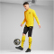 PUMA BVB Borussia Dortmund Pro 3/4-Trainingshose Herren 02 - PUMA black/faster yellow XL