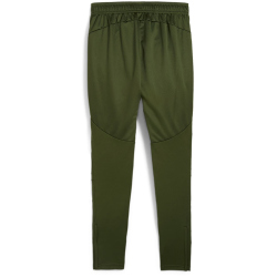 PUMA BVB Borussia Dortmund Trainingshose Herren 07 - myrtle/yellow alert L