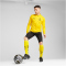 PUMA BVB Borussia Dortmund 1/4-Zip Trainings-Top Herren 01 - faster yellow/puma black L