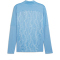 PUMA Manchester City FC 1/4-Zip Aufw&auml;rm-Sweatshirt Herren 21 - team light blue/puma white S