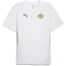 PUMA PSV Eindhoven Trainingsshirt Herren 13 - PUMA white/cobalt glaze/PUMA green S