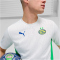 PUMA PSV Eindhoven Trainingsshirt Herren 13 - PUMA white/cobalt glaze/PUMA green S