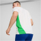 PUMA PSV Eindhoven Trainingsshirt Herren 13 - PUMA white/cobalt glaze/PUMA green S
