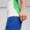 PUMA PSV Eindhoven Trainingsshirt Herren 13 - PUMA white/cobalt glaze/PUMA green S