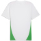 PUMA PSV Eindhoven Trainingsshirt Herren 13 - PUMA white/cobalt glaze/PUMA green S