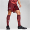 PUMA RB Leipzig Shorts 2024/25 Herren 02 - dark jasper/active red XS