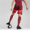PUMA RB Leipzig Shorts 2024/25 Herren 02 - dark jasper/active red XS