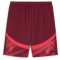 PUMA RB Leipzig Shorts 2024/25 Herren 02 - dark jasper/active red XS
