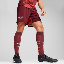 PUMA RB Leipzig Shorts 2024/25 Herren 02 - dark...