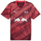 PUMA RB Leipzig Ausw&auml;rtstrikot 2024/25 Herren 02 - dark jasper/active red XS