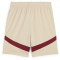 PUMA FC Red Bull Salzburg Shorts 2024/25 Kinder 05 - granola/team regal red 116