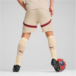 PUMA FC Red Bull Salzburg Shorts 2024/25 Herren 05 -...