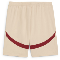 PUMA FC Red Bull Salzburg Shorts 2024/25 Herren 05 -...