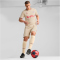 PUMA FC Red Bull Salzburg Shorts 2024/25 Herren 05 - granola/team regal red XL