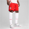 PUMA FC Red Bull Salzburg Shorts 2024/25 Herren 02 - PUMA red/PUMA white 3XL