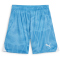PUMA Torwartshorts Herren 41 - regal blue S