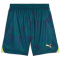 PUMA Torwartshorts Herren 39 - malachite S