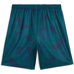 PUMA Torwartshorts Herren 39 - malachite M